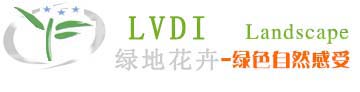 凤凰联盟